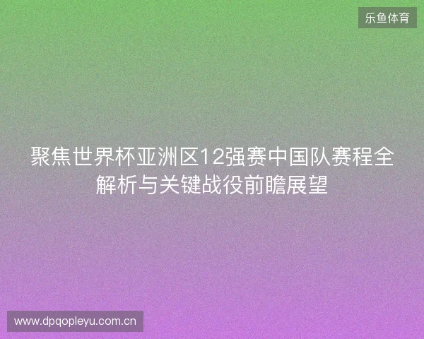 聚焦世界杯亚洲区12强赛中国队赛程全解析与关键战役前瞻展望