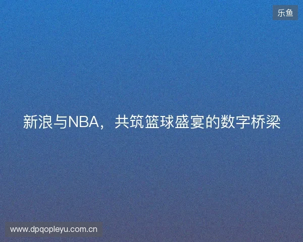 新浪与NBA，共筑篮球盛宴的数字桥梁